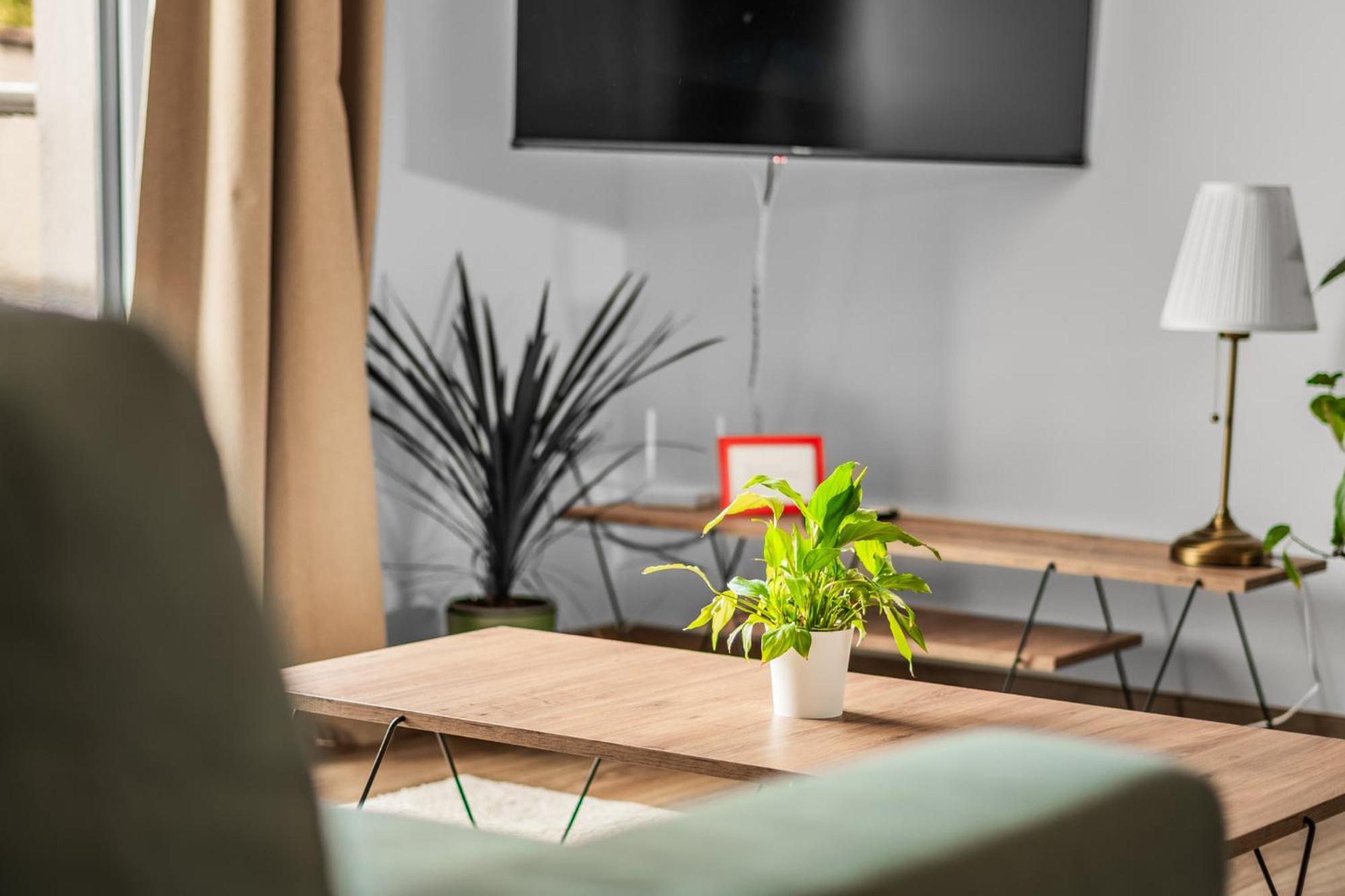 Apartman Anna Nové Město nad Metují Extérieur photo